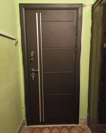 Фото Двери с порошком №118